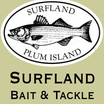 Surfland's profile picture. 