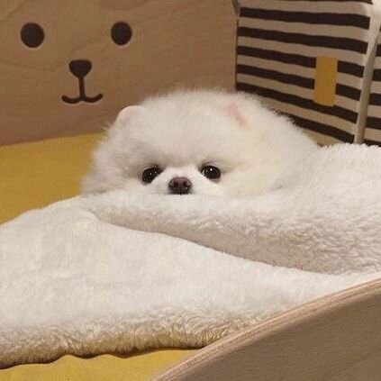 iamyoursunn's profile picture. love me