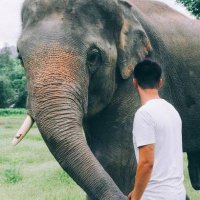 Ruben Rock (@rubenrock6) 's Twitter Profile