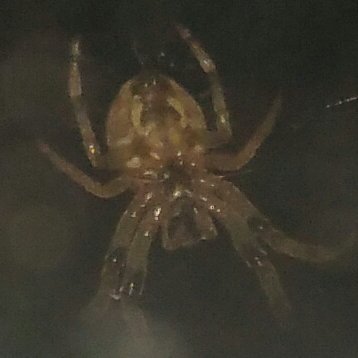 of_binding's profile picture. I may not be very smart or cunning but at least I can.... I can..  uhhhh