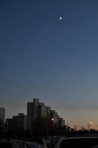 tinythief's profile picture. 