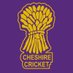 Cheshire Cricket Board (@CheshireCB) Twitter profile photo