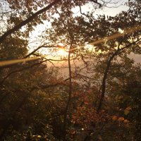 Luca Marinelli (@_lucamarinelli_) 's Twitter Profile