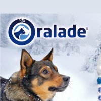 Anthony Mackle (@oraladehydrate) 's Twitter Profile