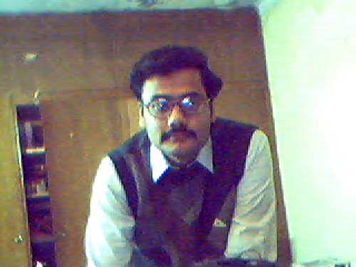 Chartered Accountant