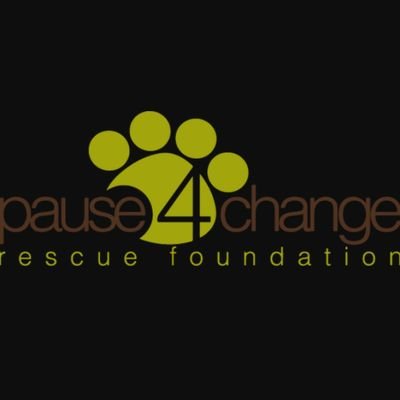 Rescue Foundation in Calgary, AB
100% volunteer run, saving dogs is what we do ❤️  This account is infrequently updated.  Follow our FB and Insta!!