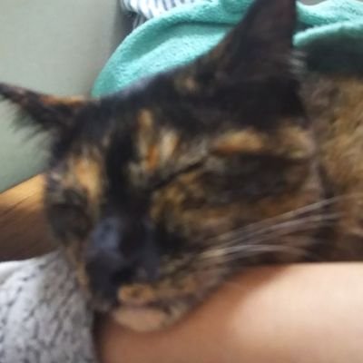suekrn's profile picture. 