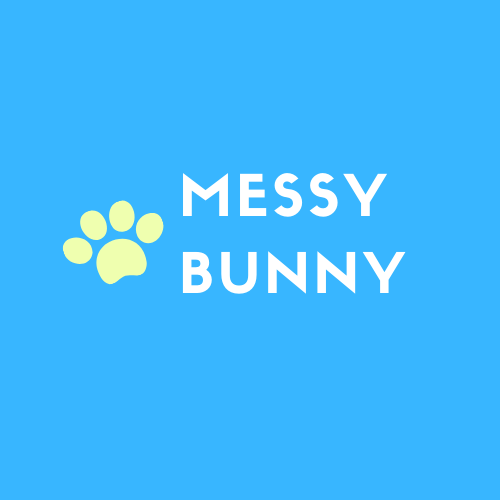 Giving the fashionable and trendiest pet products