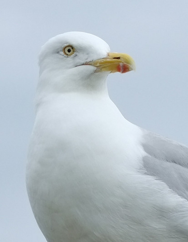 otto696969's profile picture. 