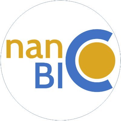 Nanoscience and Bio-Inorganic Chemistry group (nanoBIC), coordinated by Patrick Gamez, ICREA research professor at the Universitat de Barcelona (Spain)
