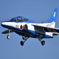 SkyBlue✈️☀️🐬 (@skypro_jp) 's Twitter Profile