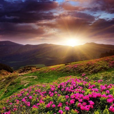 DrSamarAlharbi1's profile picture. استشارية أمراض الروماتيزم ومرض الذئبة الحمراء الزمالة الكندية.استاذ مشارك ،كلية الطب بجامعة طيبة. Rheumatologist, associate professor @taibahu,@UofT alumnus