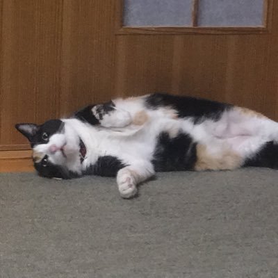 みったそV垢さんのプロフィール画像