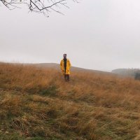 ReallyMrFeeley (@reallymrfeeley) 's Twitter Profile