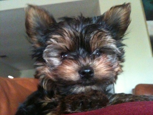 Hello... I'm mason and i was born on april fools. i like wearing sweaters, playing soccer and going for long walks.