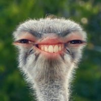 Python c'est la vie (@pythoncestlavie) 's Twitter Profile Photo Python c'est la vie (@pythoncestlavie) 's Twitter Profile Photo