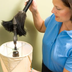 newhavencleanin's profile picture. AM/PM House Cleaning Service, LLC is an experienced and meticulous New Haven cleaning service.