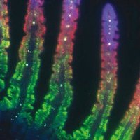 MoorLab (@moorlab) 's Twitter Profile
