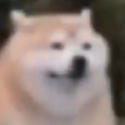 @TeMustache