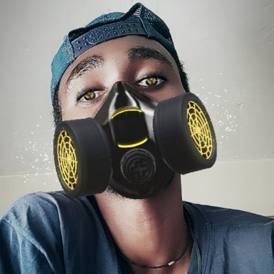 mombienois's profile picture. unlicensed pilot.