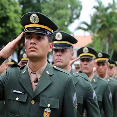 Zeca26970979's profile picture. Zeca