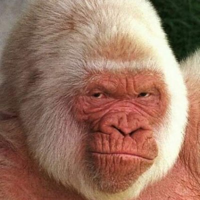 Joopaul08201687's profile picture. 