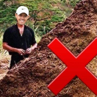 GolfMinus's profile picture. Golf advice nobody wants to hear.
