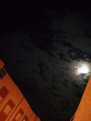 Betty98542330's profile picture. Exo_l till the 🔚😋❤️