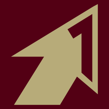 Seminole Sports Now Profile