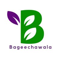 bageechawala(@bageechawala) 's Twitter Profile Photo