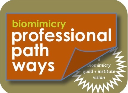 ProPathways's profile picture. an evolving learning community [a biomimicry institute + guild vision]