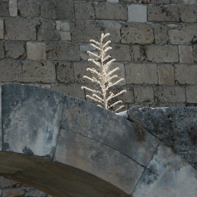 dmf2552's profile picture. 