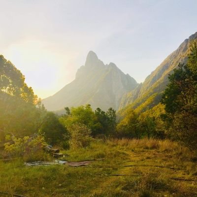 JorgeTo82095166's profile picture. 