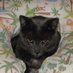 Maximum McMookie (@doodlesmcmooki1) Twitter profile photo Maximum McMookie (@doodlesmcmooki1) Twitter profile photo