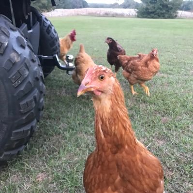 larrycobb68's profile picture. 