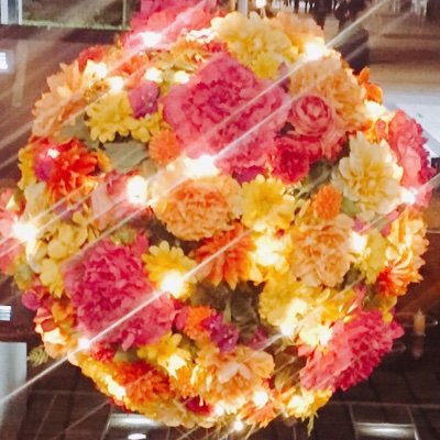 きなこさんのプロフィール画像