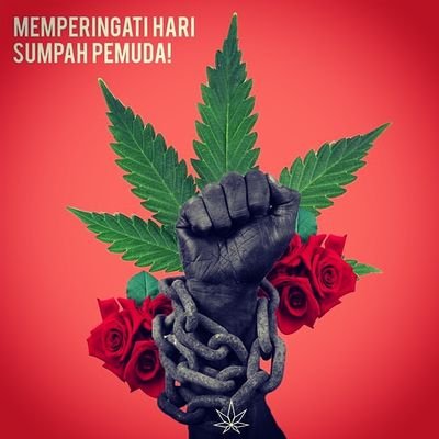 Open weed
 nusatara 4.2.0