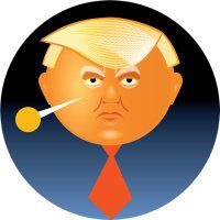 Voodoo Trump(@BestTrumpVoodoo) 's Twitter Profileg
