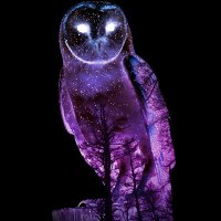NightOwl (@symce) 's Twitter Profile
