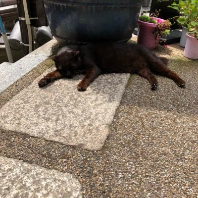 kさんのプロフィール画像