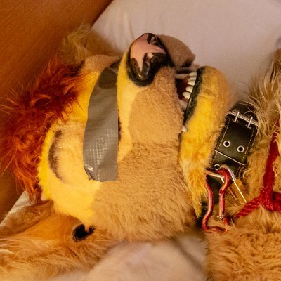 An AD account of bondage addicted wolf-puppy; Bdsm, bondage, latex, puppy play etc... Totally switch, obviously NSFW ;3 Only AD accounts please.