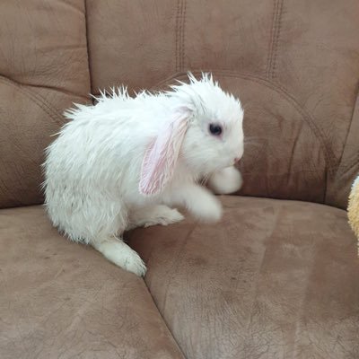 ilkay107's profile picture. Leuk