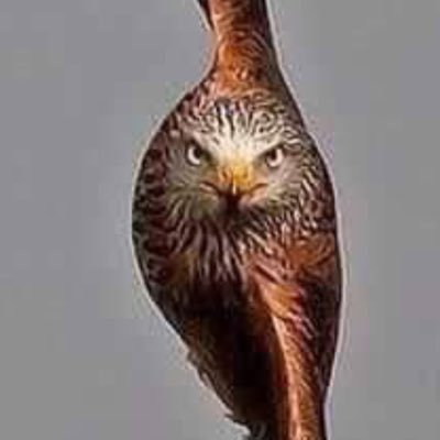 DunlapVBall's profile picture. 