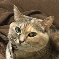 Mikesan2019(44.4%) (@mikesan2019) 's Twitter Profile