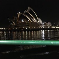 Wombat (@wombat59010417) 's Twitter Profile