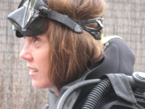 Milipolo's profile picture. writer