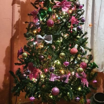 PipasaPollo's profile picture. me gusta el cine y la música rock