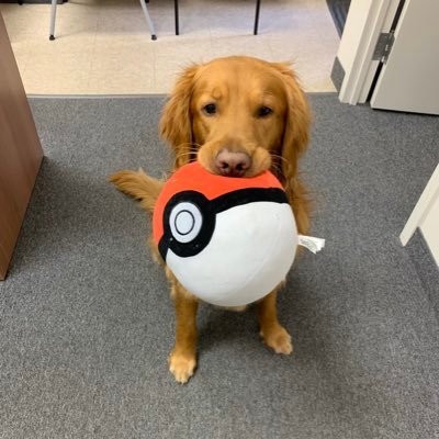 Steph🐕mystic🐕shiny hunter ✨🐕25years old🐕Toronto.🐕
