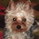 Mary Ann Strong - @mstrong0623 - Twitter