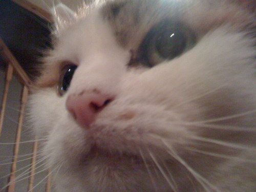 BicycleJo's profile picture. 